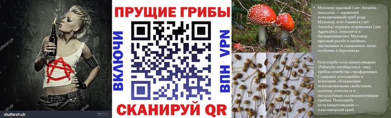 Галлюциногенные грибы GOLDEN TEACHER  Купить где  Городовиковск 